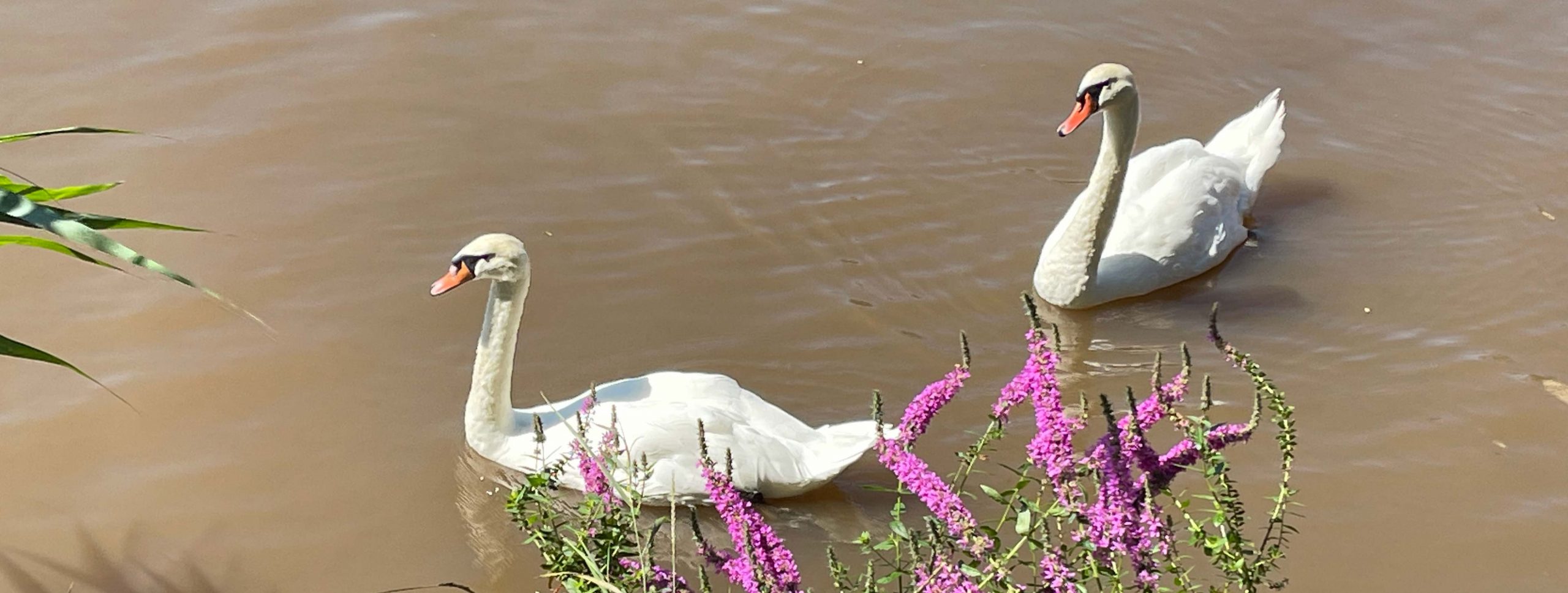 tanz-dich-selbst-Berlin