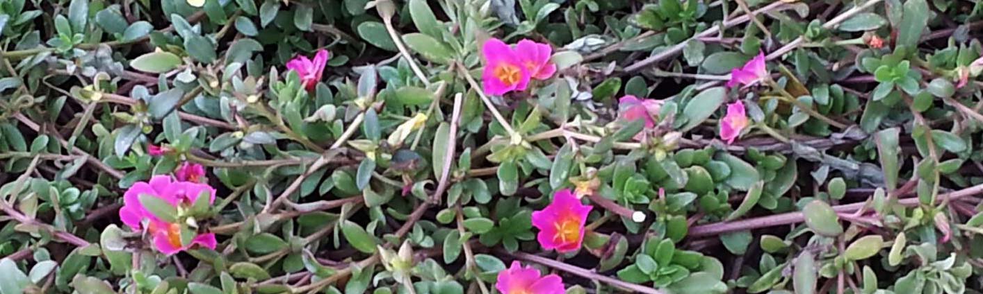 tanz-dich-selbst-Berlin