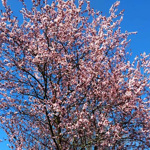 tanz-dich-selbst-kursangebote